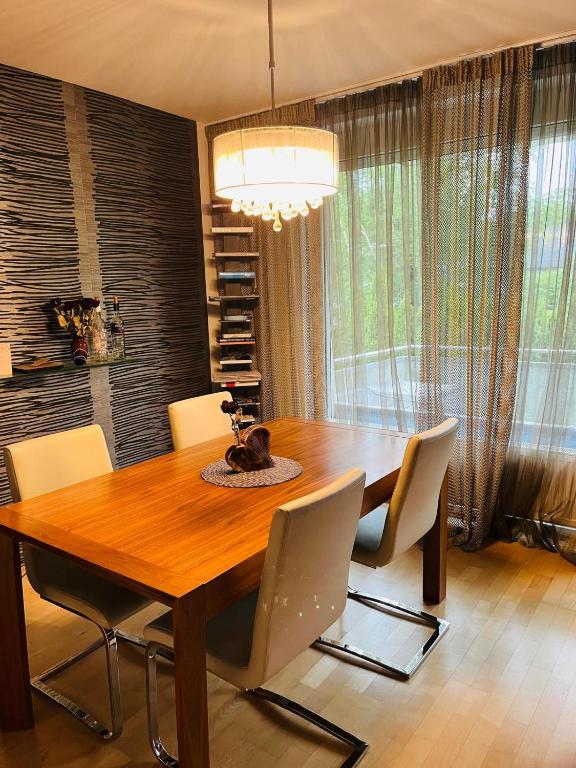 Comfortable suitable apartment, Salcburk