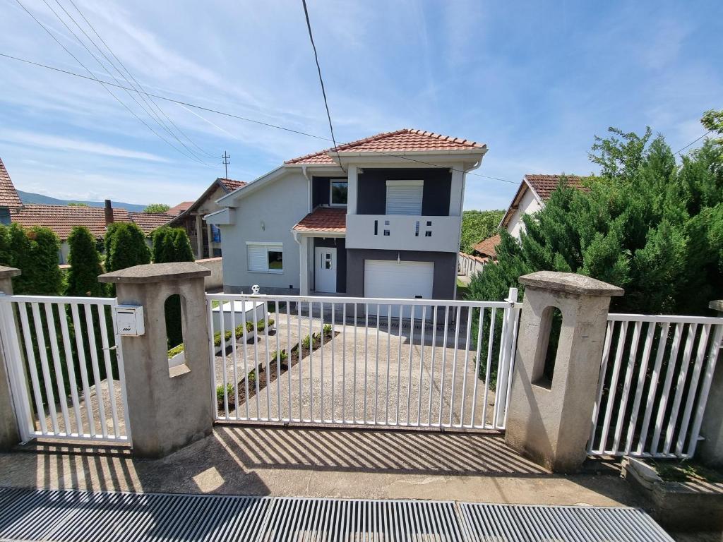 Vila MINJA - 1