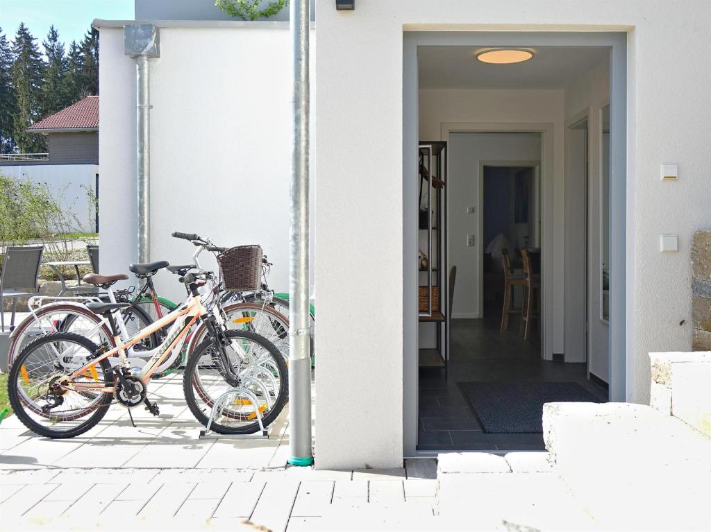 ELYs-Home - 3