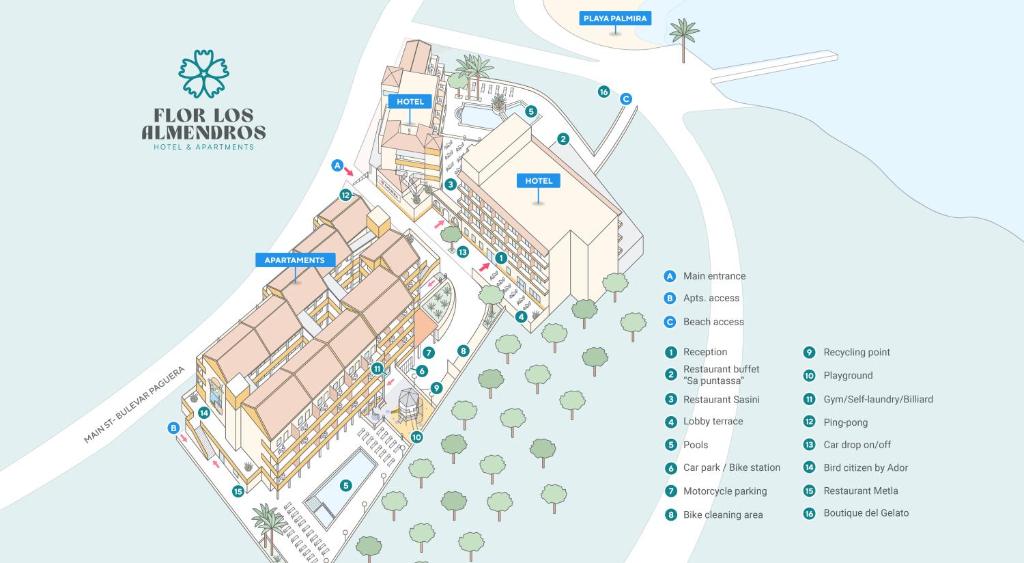 FLOR los Almendros Hotel — Attractions in the area in Peguera, Balearic Islands