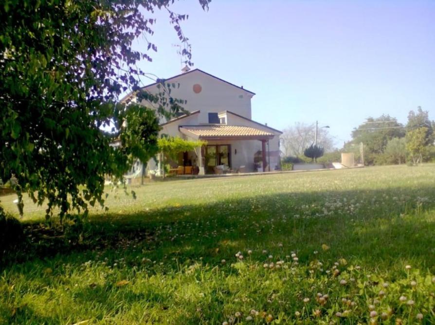 Ettaro Verde studio apartment for holidays - 5