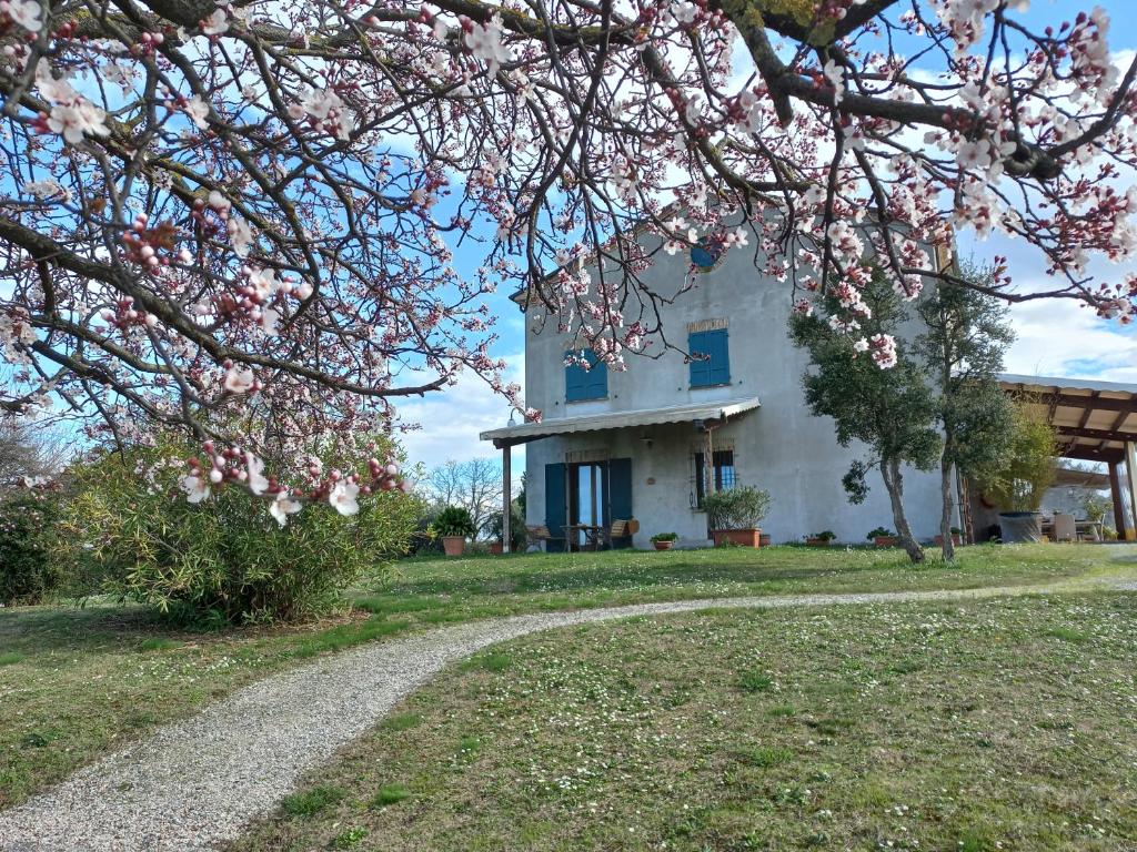 Ettaro Verde studio apartment for holidays - 3