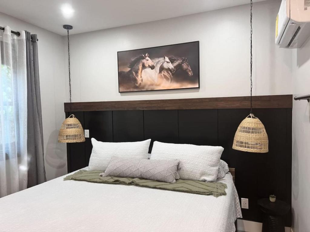 ADA Friendly and AC Little House on the Ferry, Albany