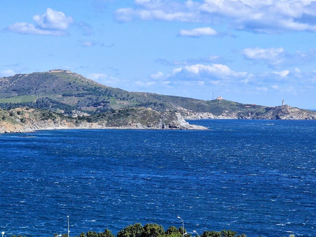 Appartement T2 à Banyuls-sur-Mer avec Wifi et Parking - FR-1-309-30 - 2
