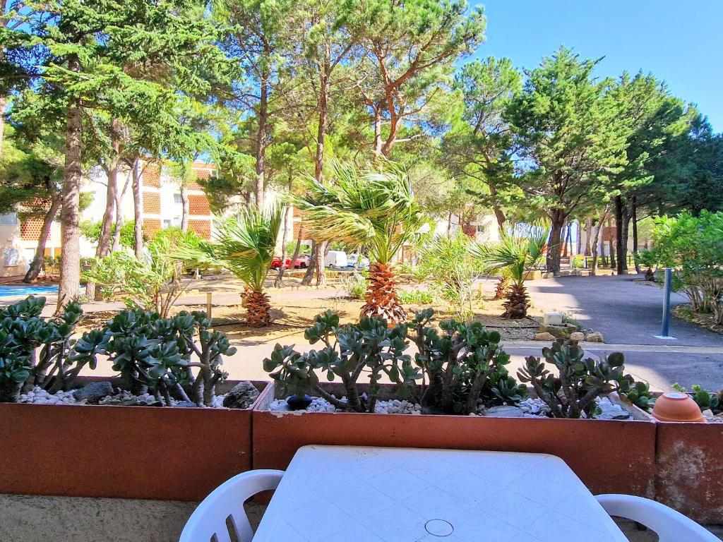 Banyuls: T3 avec Terrasse, Parking, 6 Pers. - FR-1-309-295 - 5