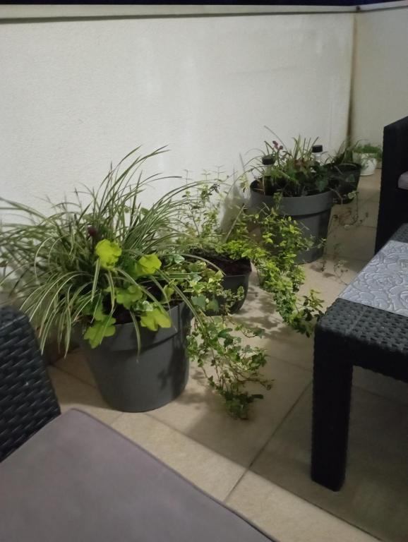 Jasna Apartman - 5