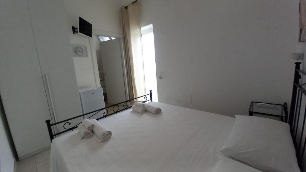 B&B Bonomi - 5