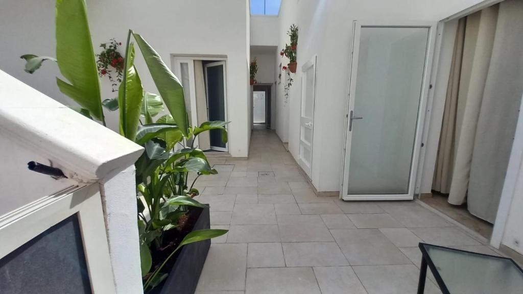 B&B Bonomi - 1