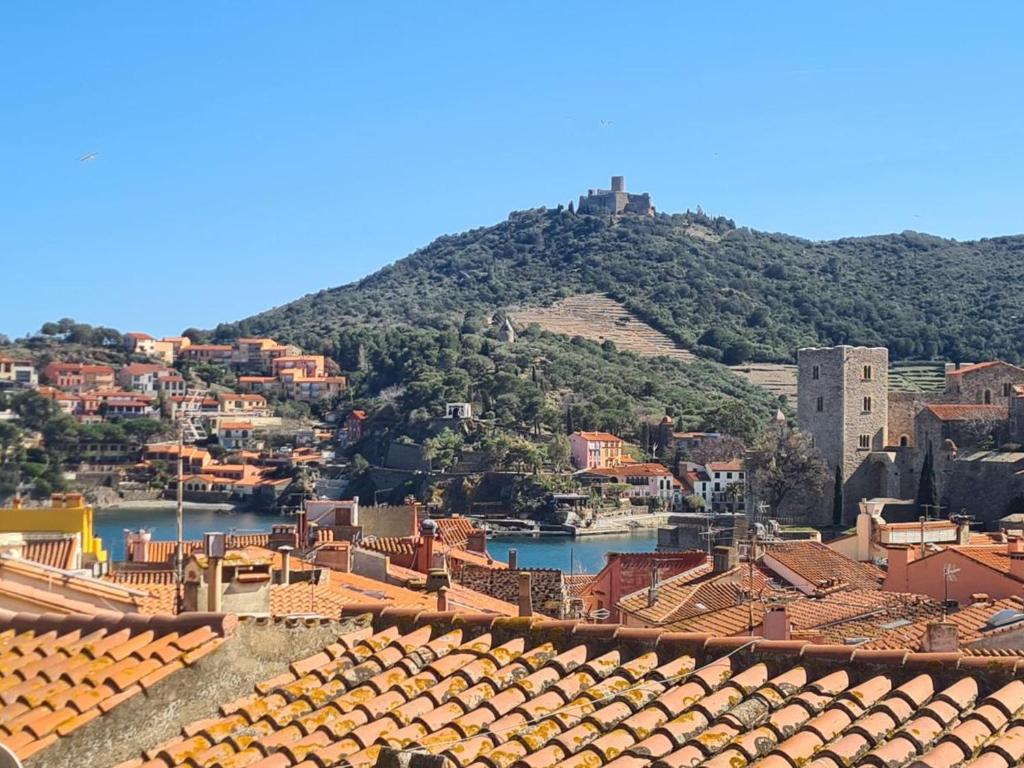 Maison T3 rénovée à Collioure, 2 chambres, balcon - FR-1-309-457 - 3