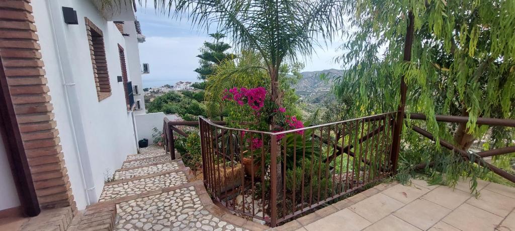 Casa Pura Vida jardin - 5