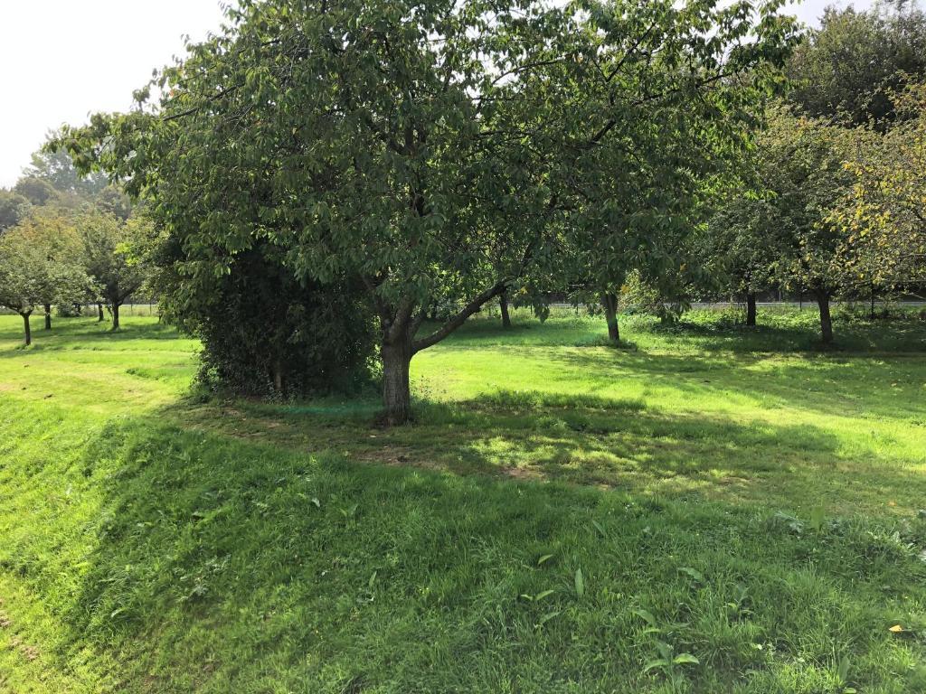 Studio avec piscine aux portes d’Honfleur - 2