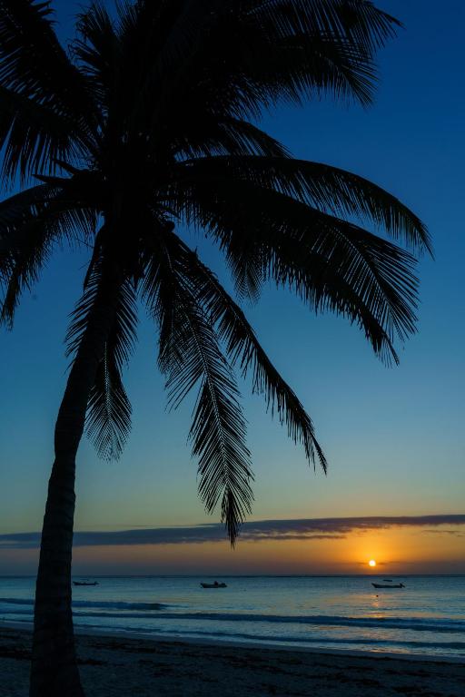 Surrounding environment