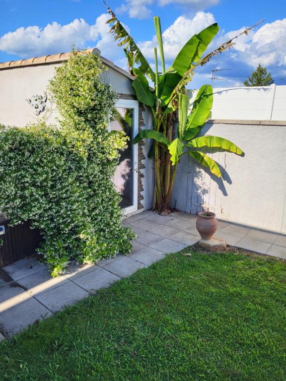 Maison climatisée avec piscine entre Alpilles et Camargue - 5