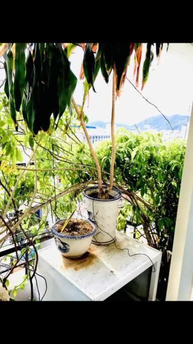 Xanh &#8211; Phố Biển &#8211; Chợ Đầm