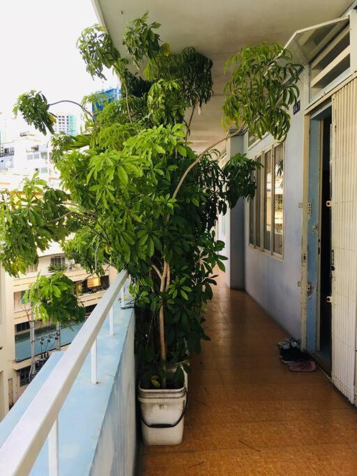 Xanh &#8211; Phố Biển &#8211; Chợ Đầm