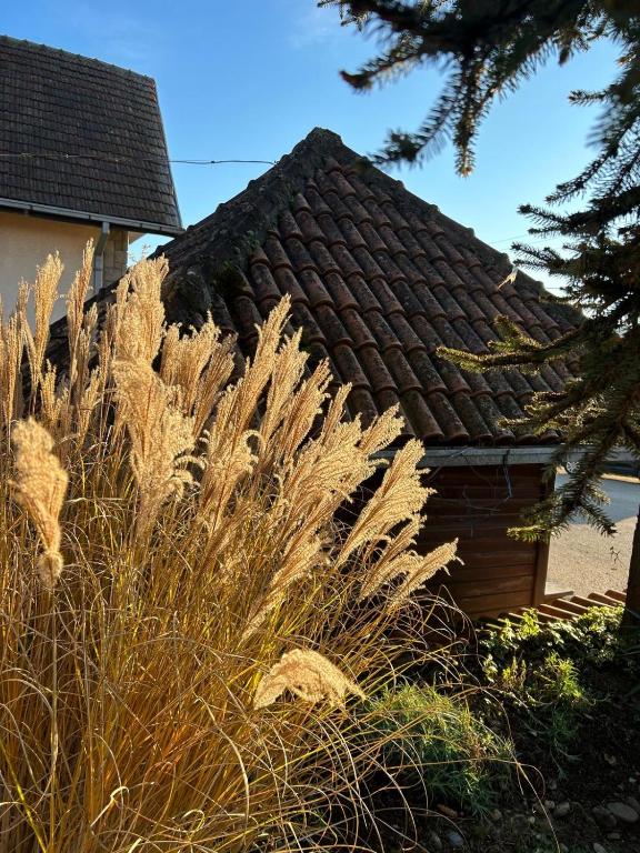 Country house Todor - 3
