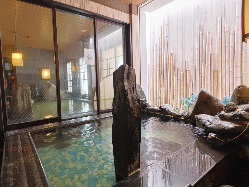 내추럴 핫 스프링 스파 도미 인 익스프레스 미카와 안조 호텔 이미지 1