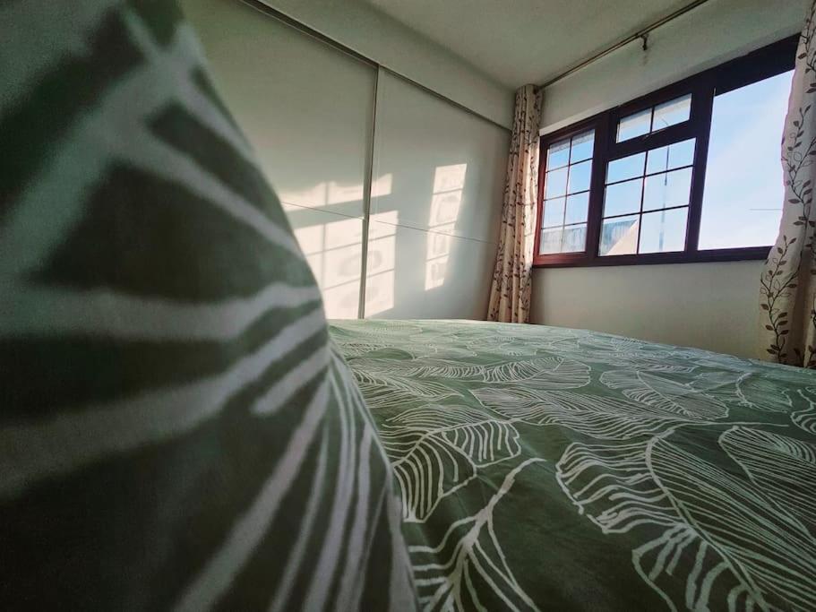 Central Cosy Macosy, Cardiff