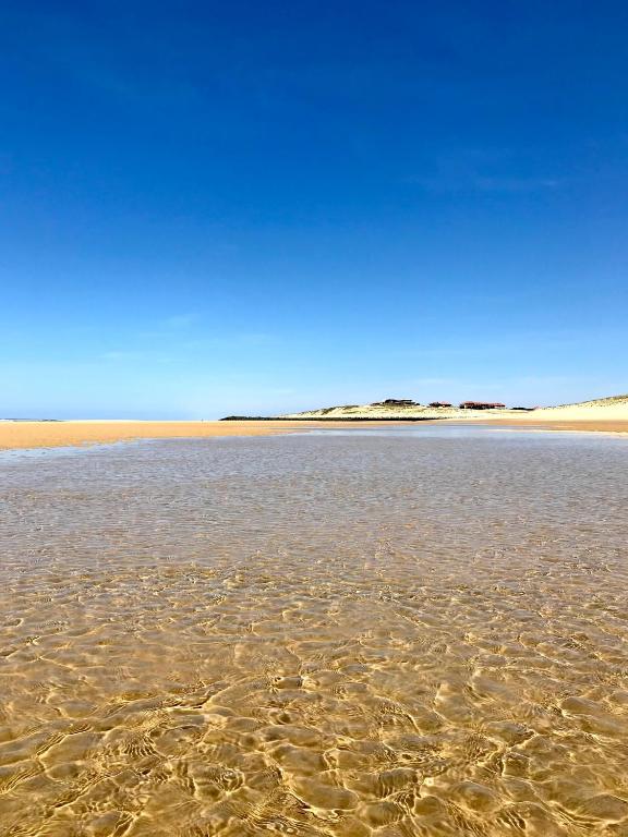 Vue Mer - Au Coeur de Contis Plage, Saint-Julien-en-Born