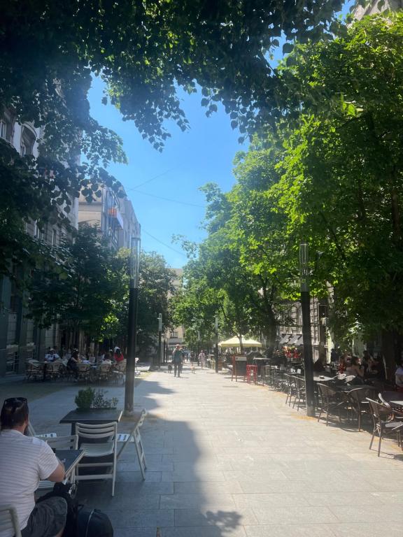 Cozy Stay Apartment - 3