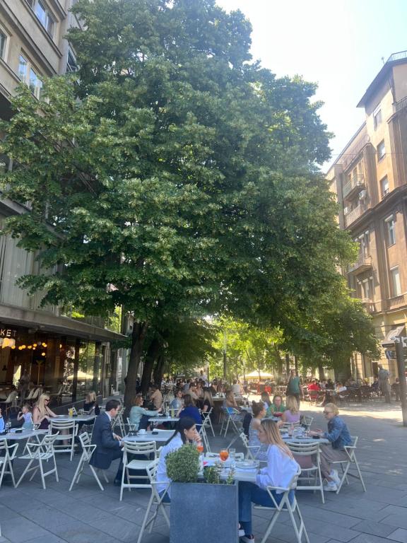 Cozy Stay Apartment - 2