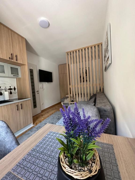 Talija apartman 4 - 1