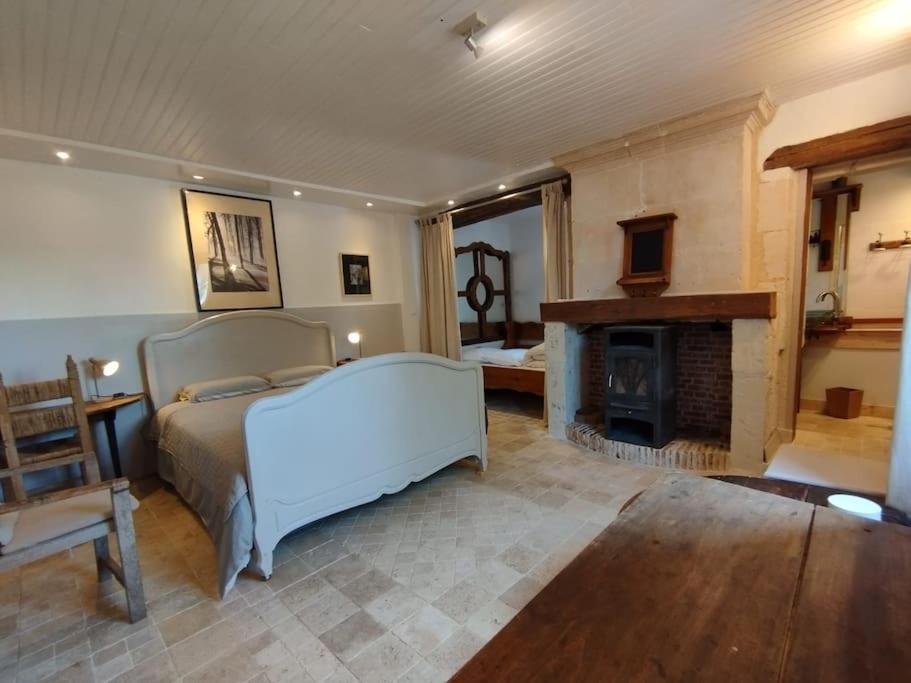 Chenonceau et le zoo de Beauval à deux pas, Saint-Georges-sur-Cher