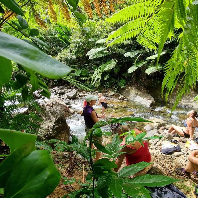 Surrounding environment