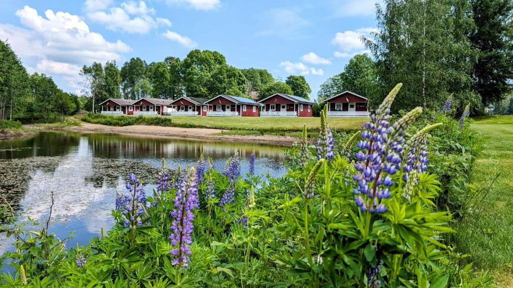 Liten uggla, Dalskog