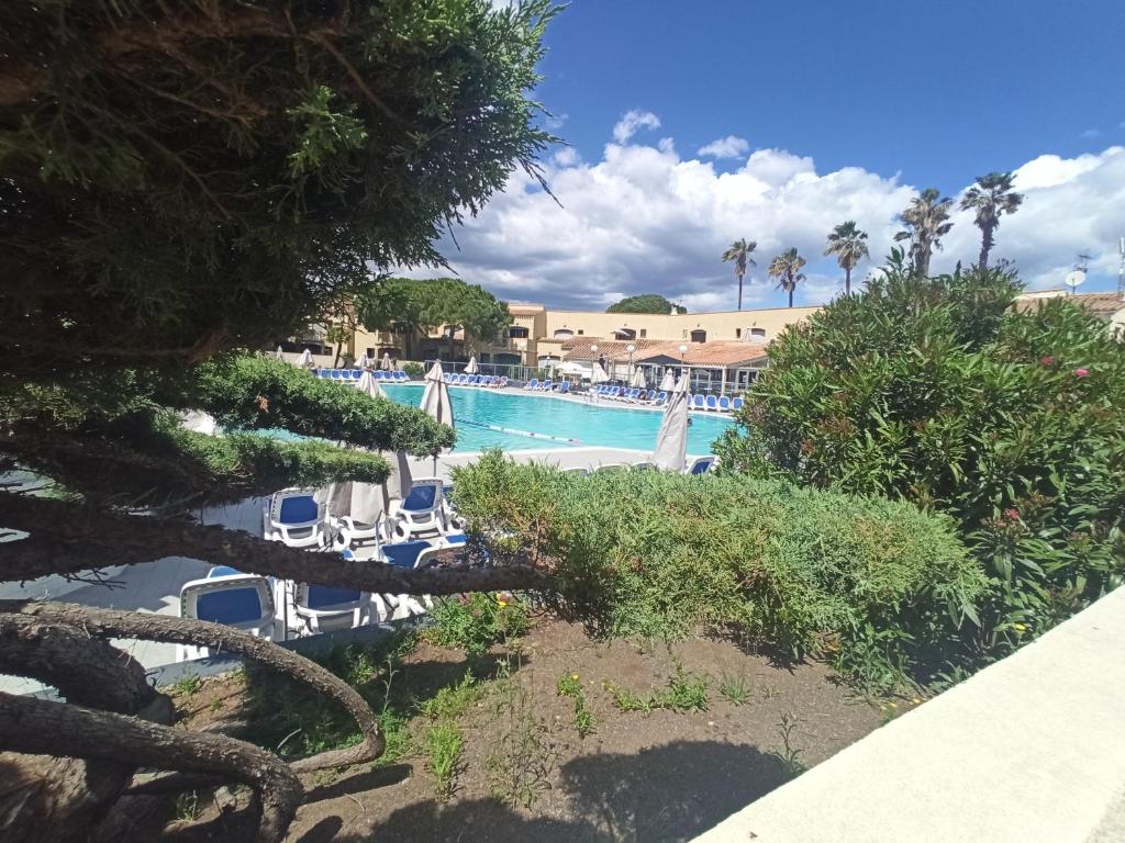 Le Cap d'Agde 2 pièces climatisé résidence Odalys St Loup en RDC avec terrasse - 1