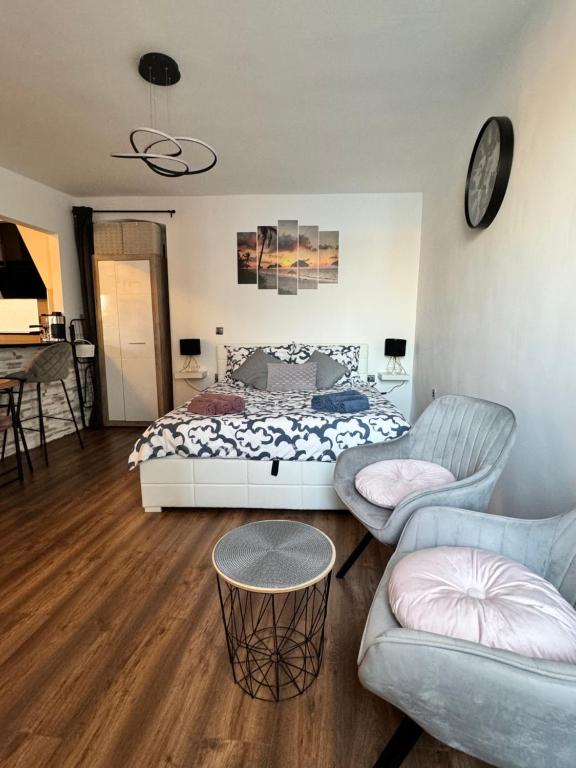 Studio Svalba, Rovinj