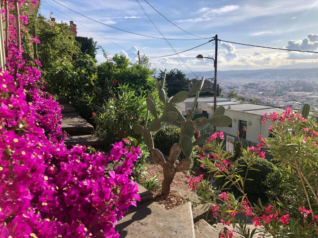 Terrasse, vue mer & montagne, parking & clim - 1