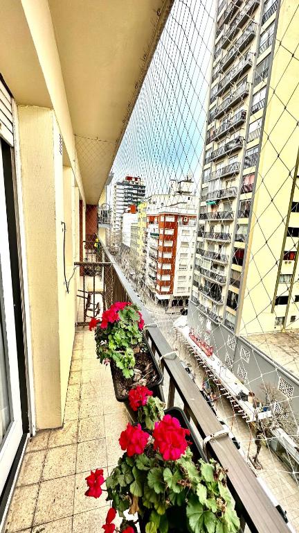 Hermoso departamento zona plaza Colon , a metros de todo - 4