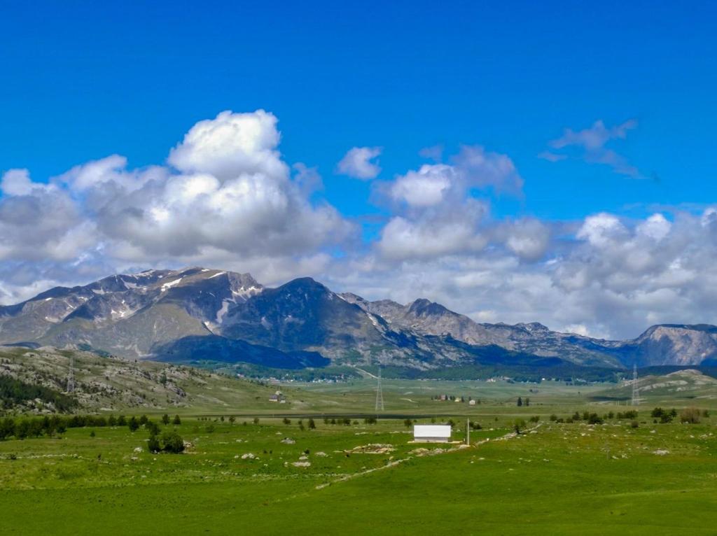 Family Farm Pejovic - 3