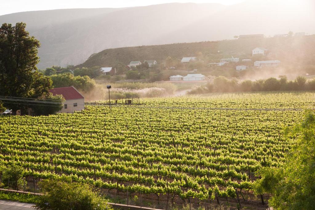 周辺観光スポット