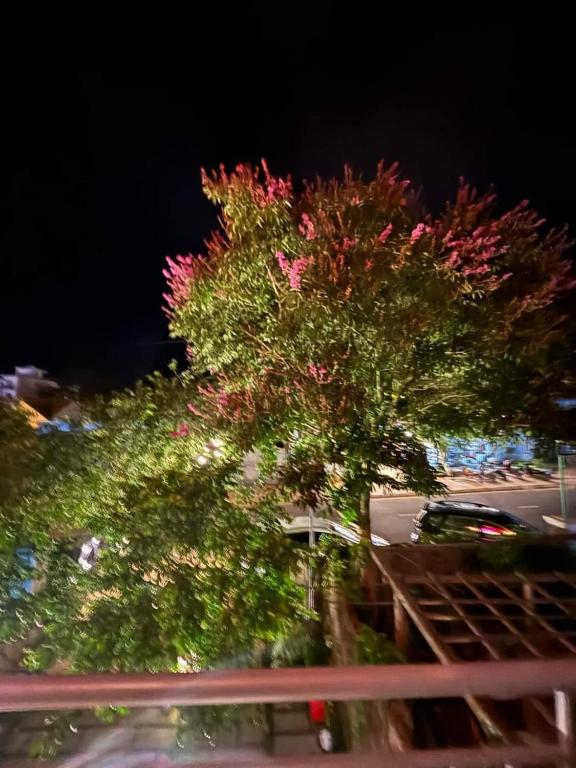 Homestay Măng Đen Diamond