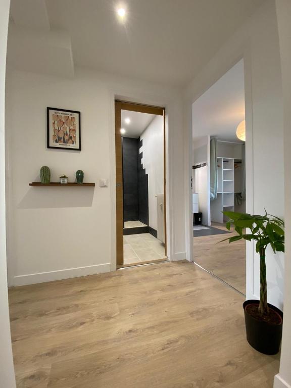 Grand appartement Standing reims centre Arena - 4