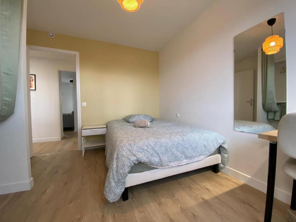 Grand appartement Standing reims centre Arena - 5