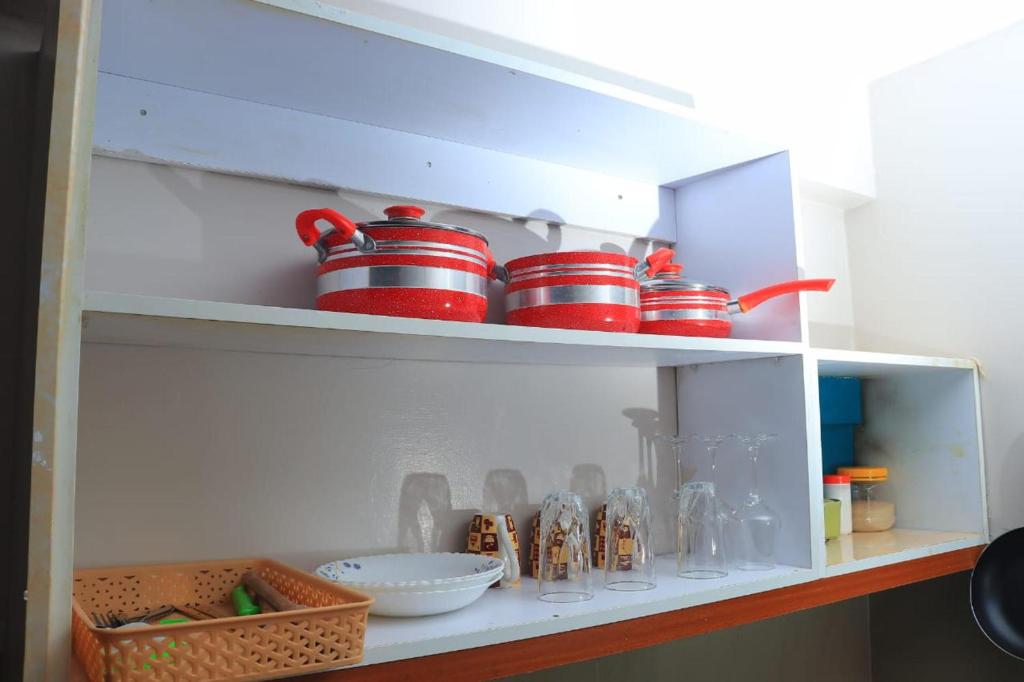 Ảnh 5