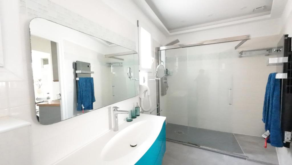 Centre Antibes Apartment With Air conditionner - 5