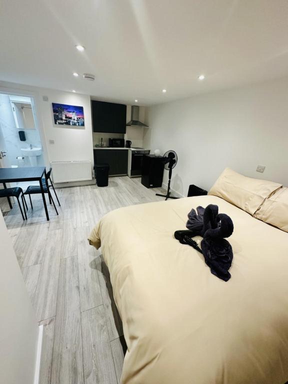 Studio near Waterloo, Bellaghy