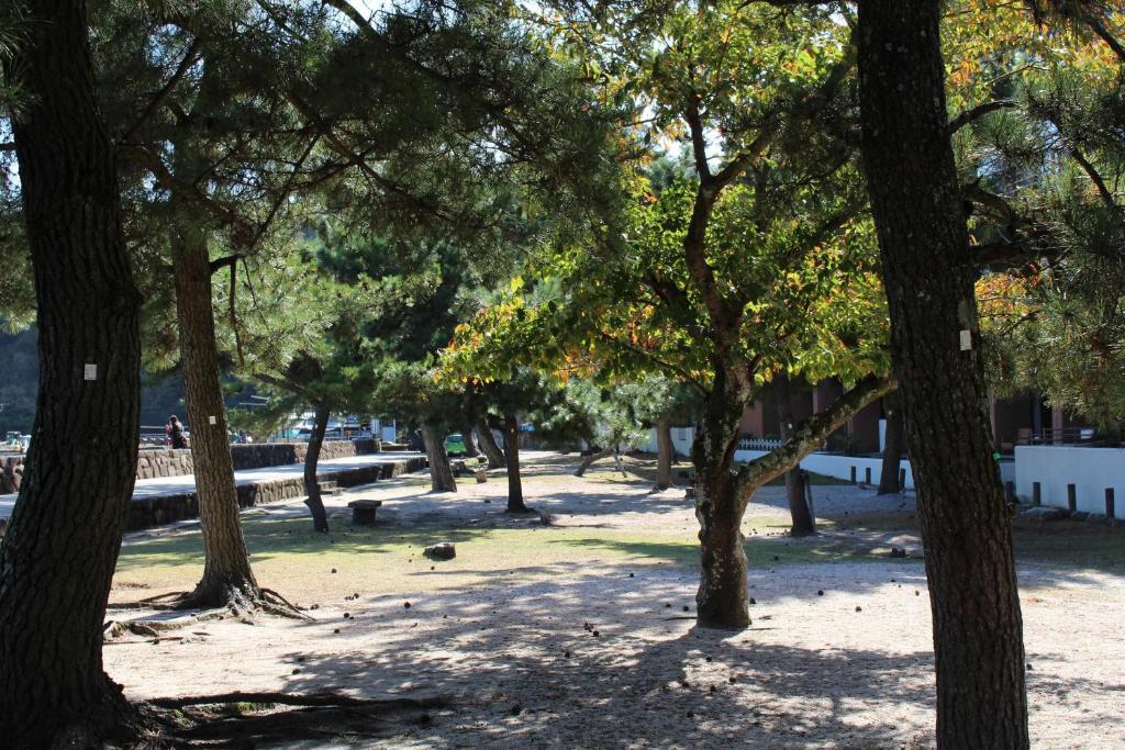 Alrededores