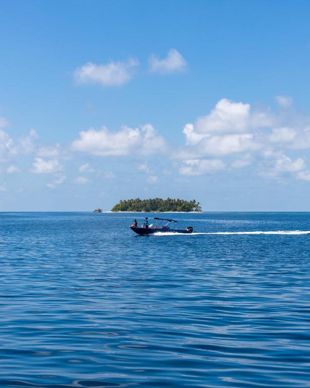 Surrounding environment