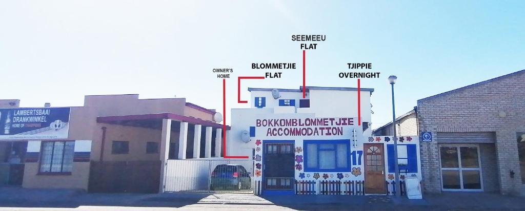 Bokkomblommetjie, Lambertʼs Bay