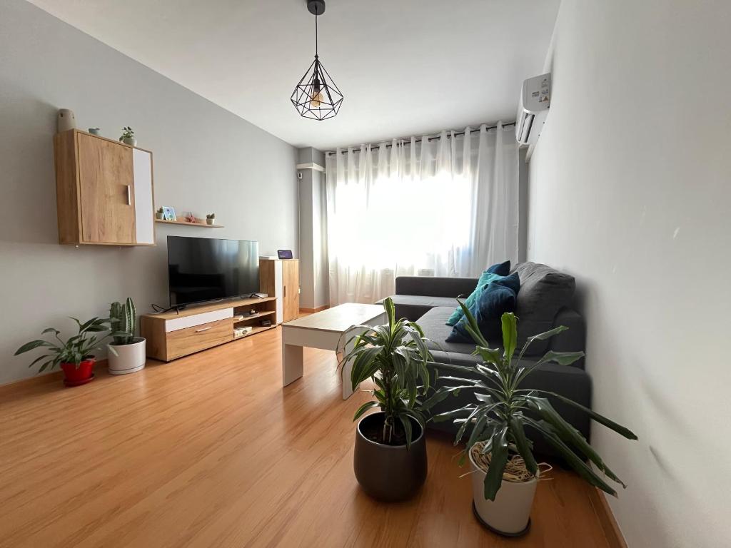 Ánade Real Guest House, Daimiel