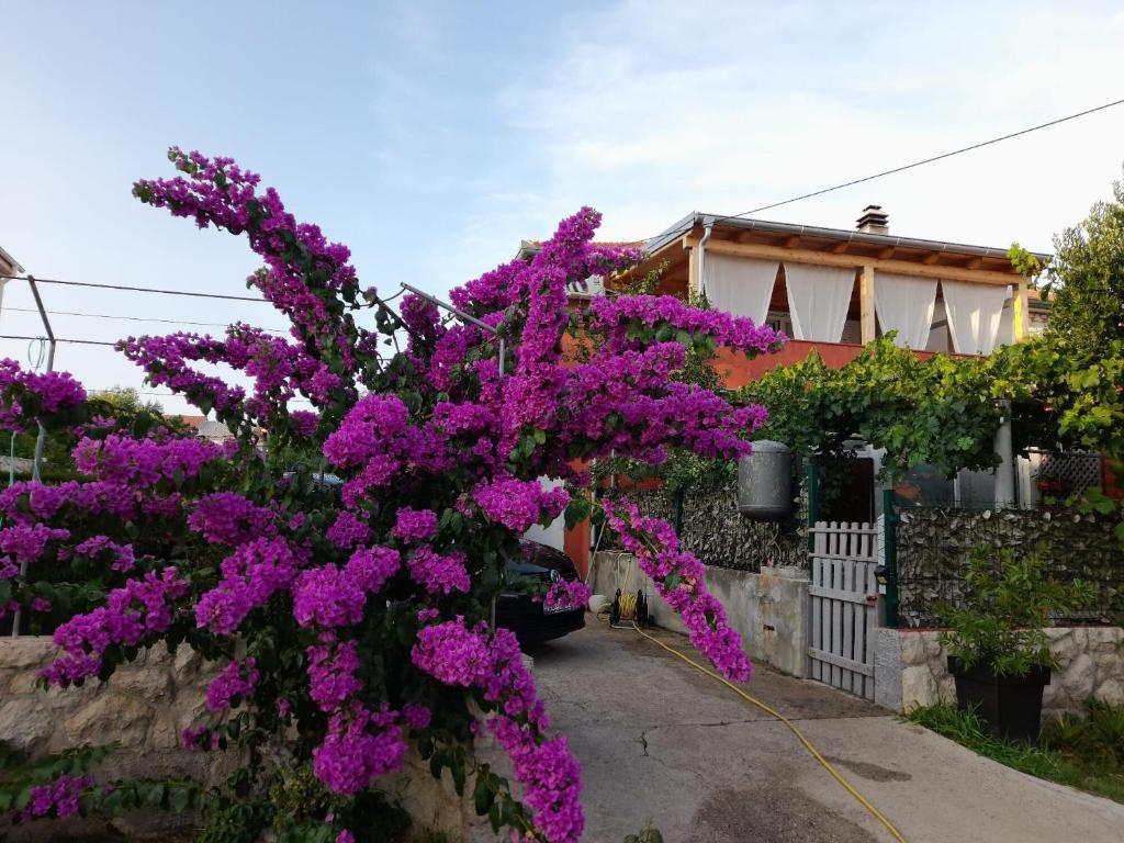 Apartment Dubravka, Povljana