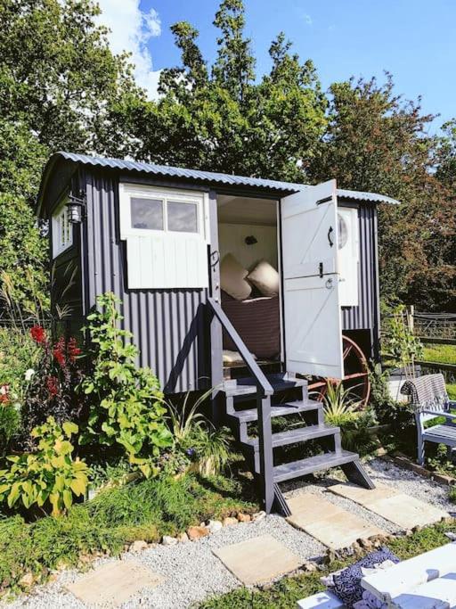 Shepherds hut with Alpaca views, Westbourne