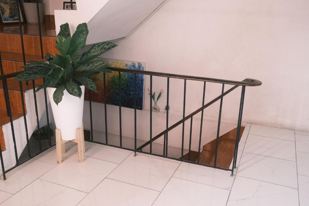 Shared lounge/TV area