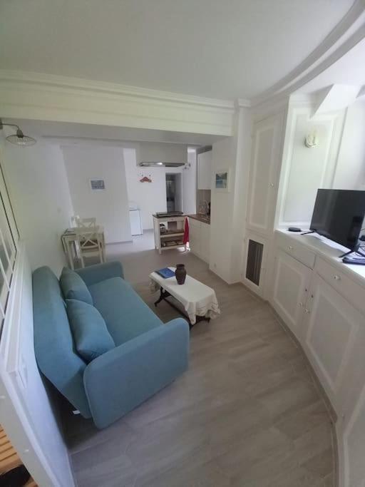 Beau studio dans un cadre exceptionnel de verdure, Maisons-Laffitte