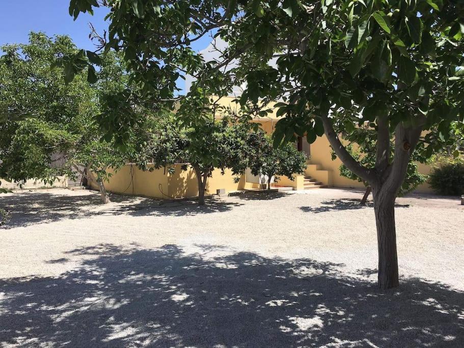 Casita - 1